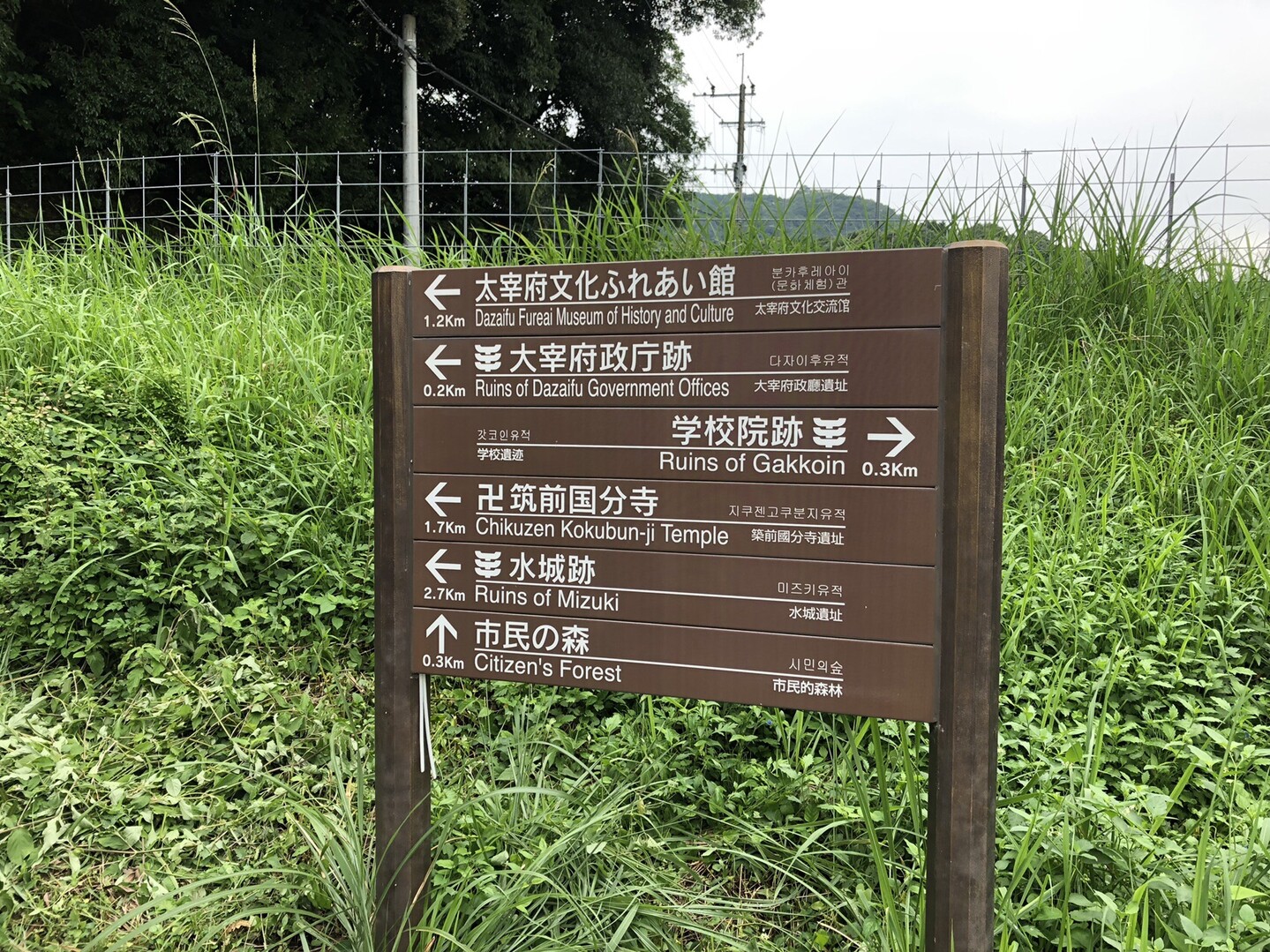 太宰府政庁跡から岩屋山に登る ねこたろうさんの四王寺山 大城山 大原山の活動日記 Yamap ヤマップ