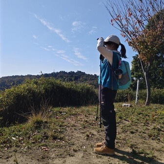 kokemushi