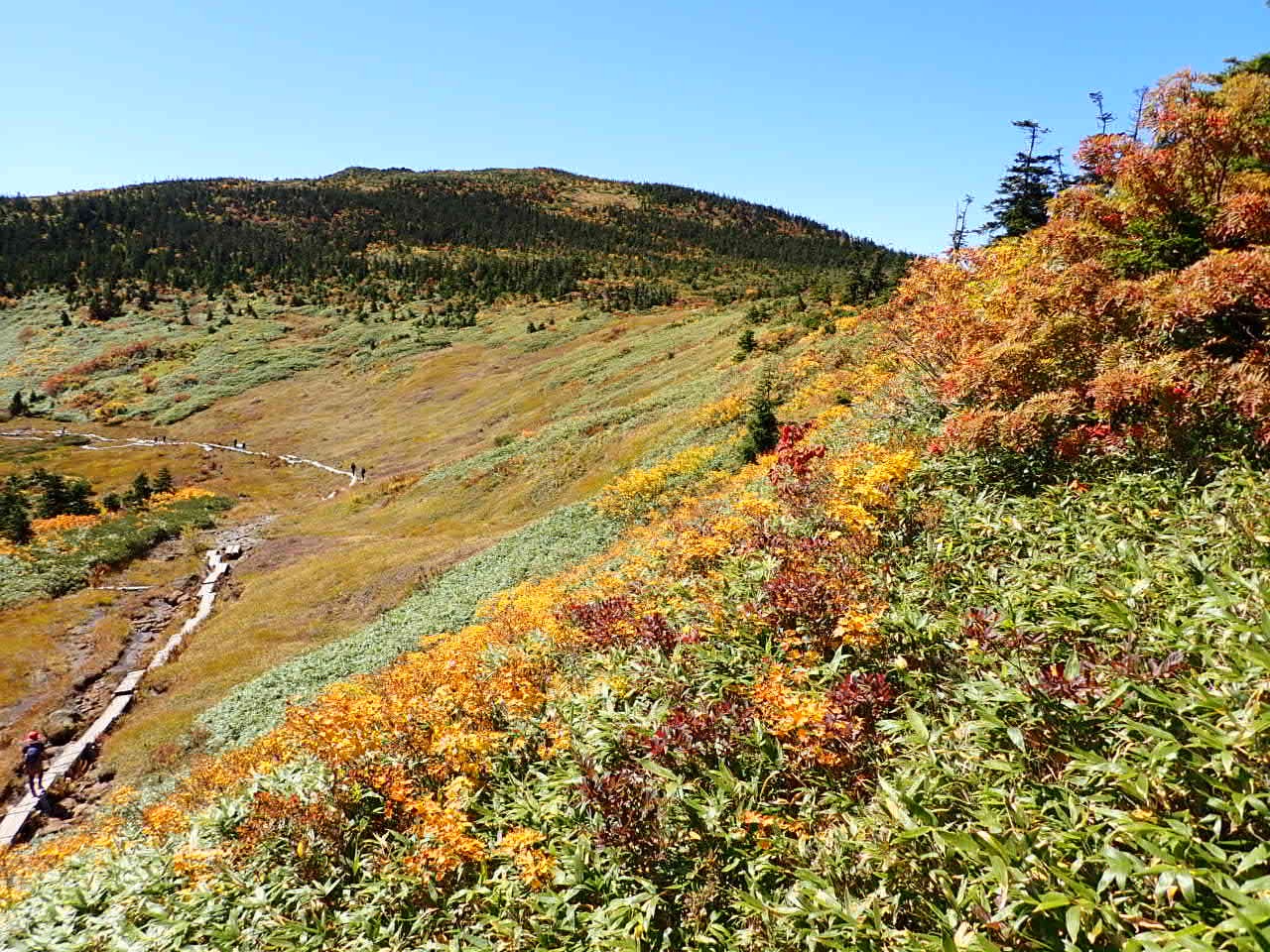 紅葉の西吾妻山 天元台コース ジンさんの吾妻山 一切経山の活動データ Yamap ヤマップ