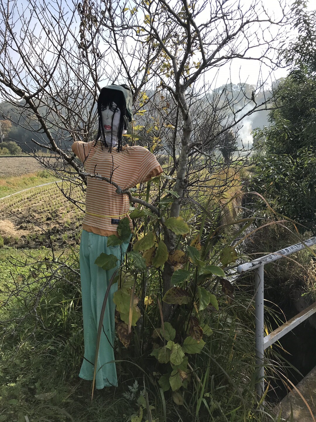 虚空蔵谷から甘南備山へ ゆーすけさんの交野山 国見山の活動日記 Yamap ヤマップ