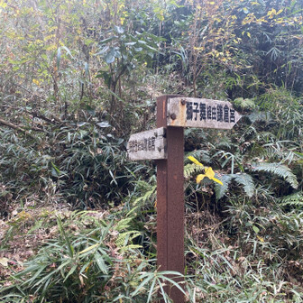 瑞泉寺と獅子舞の分岐。今日は獅子舞へ下ります。