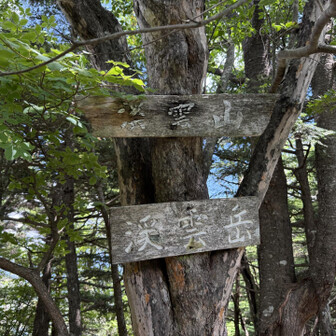 こちらも樹々の中
「山」か「岳」か、はっきりして！(笑)
