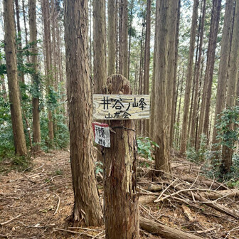 岩湧山・一徳防山・三石山 そして井谷ノ峰へと縦走すると