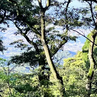 烏帽子岳ピークポイントは開けた眺望はありません😢
かろうじて 木々の隙間より鹿児島市内方向👀