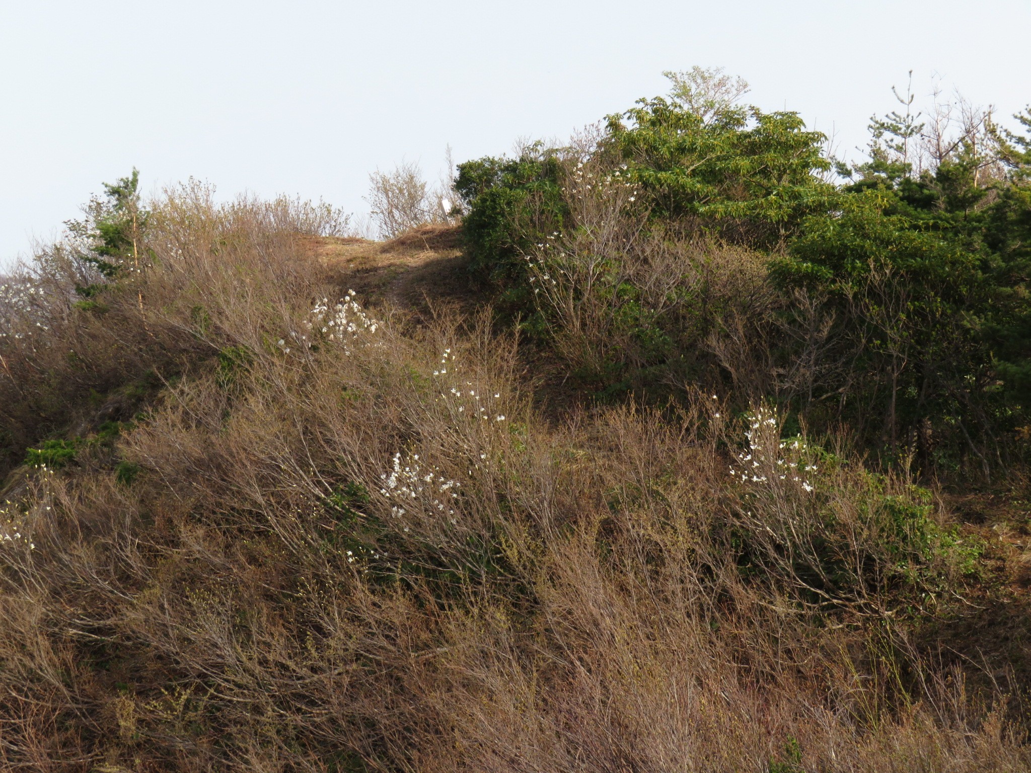 木六山・銀次郎山 毛石山山頂