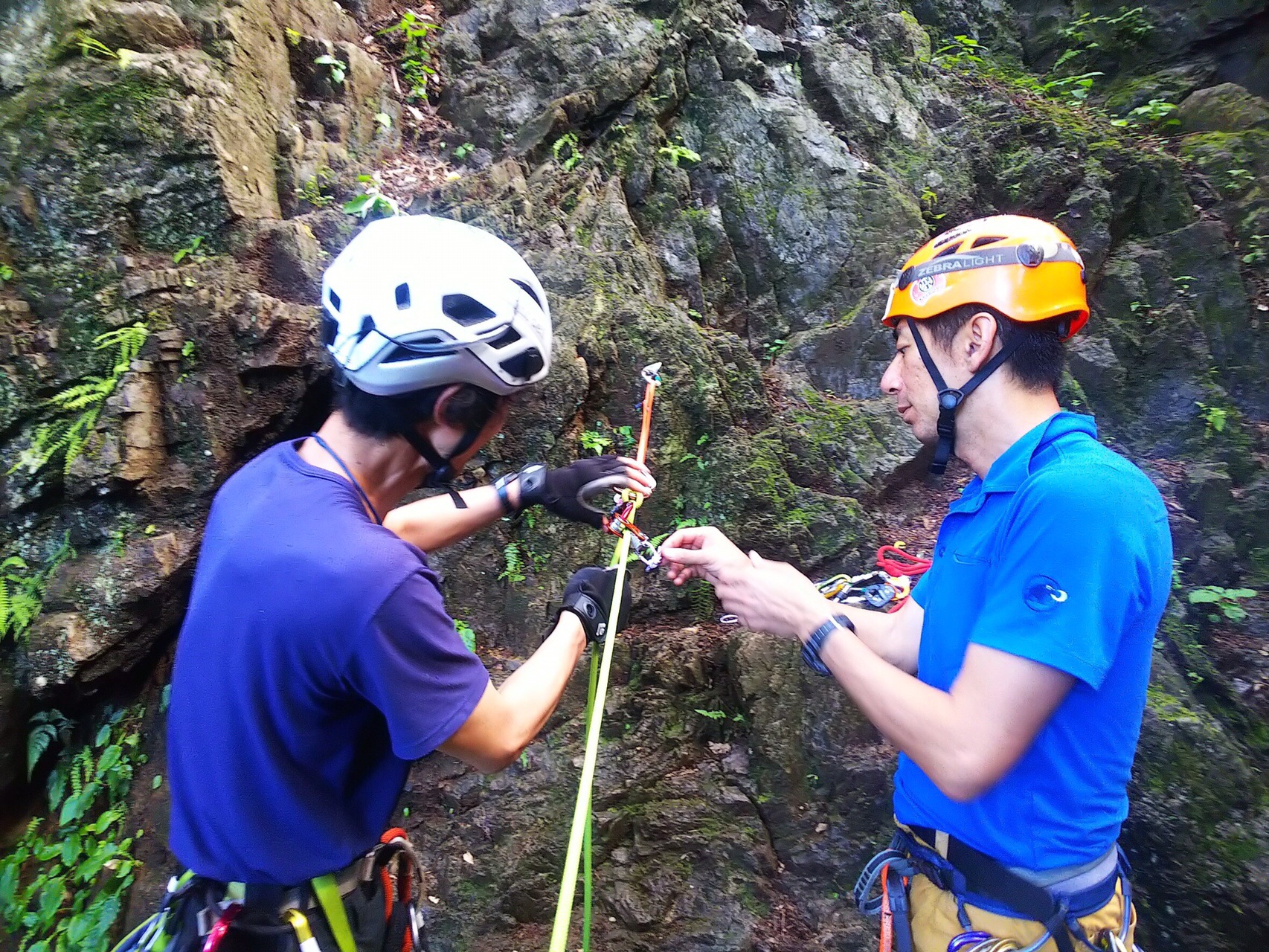 ロープワーク講習 平戸の岩場 エルゴさんのヤマノススメ巡礼マップ 天覚山 大高山 子の権現 の活動データ Yamap ヤマップ