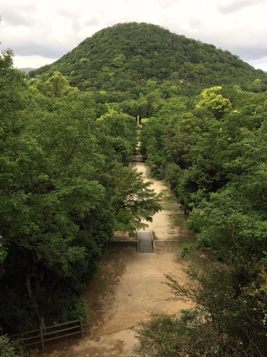 甲山森林公園展望台と仁川渓谷長老モアイ 六甲山 長峰山 摩耶山の写真16枚目 Yamap ヤマップ