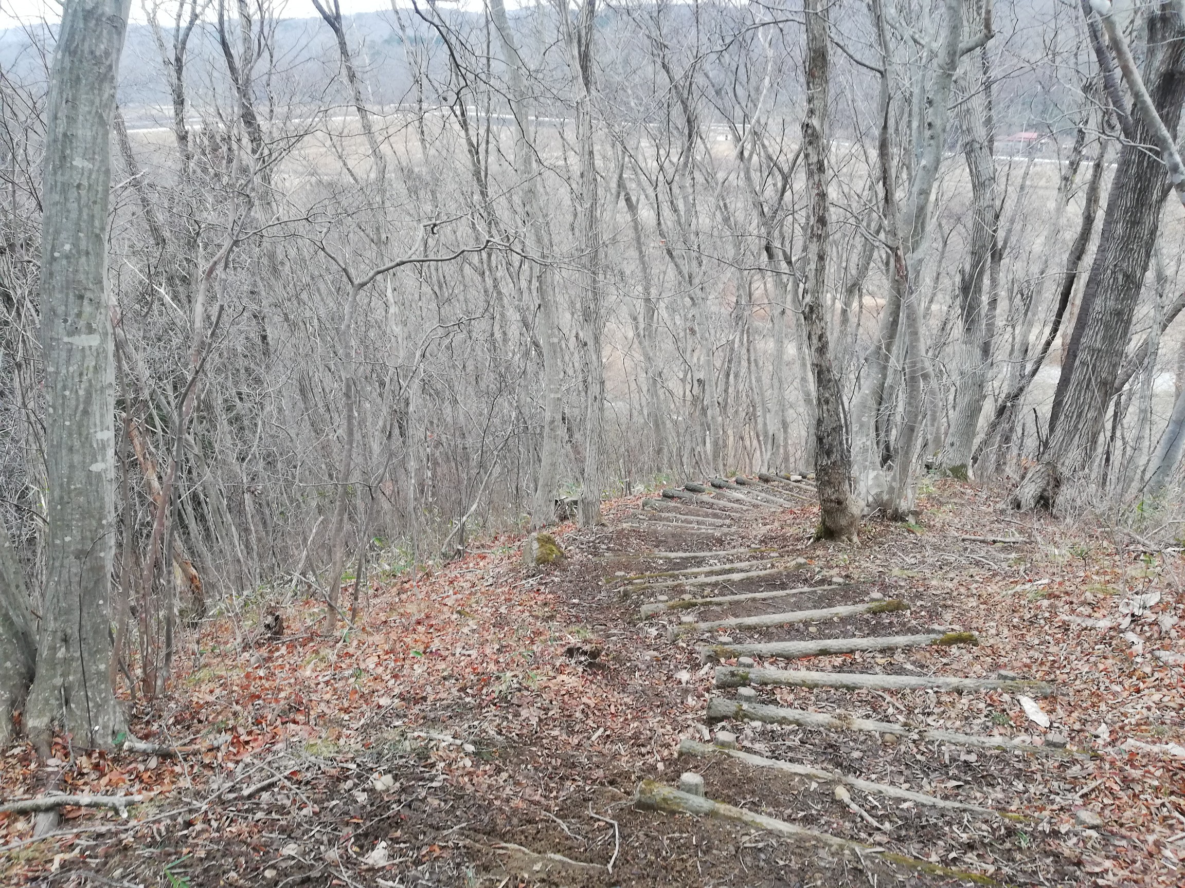 達居森 ゆっくり下りました