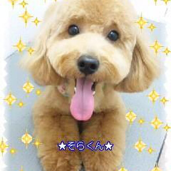 そらくん