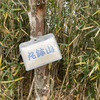 行きには気付かなかった丸鉢山の標識
ネームプレートじゃん🤭
雨が☔降ってきたのでレインを着ました