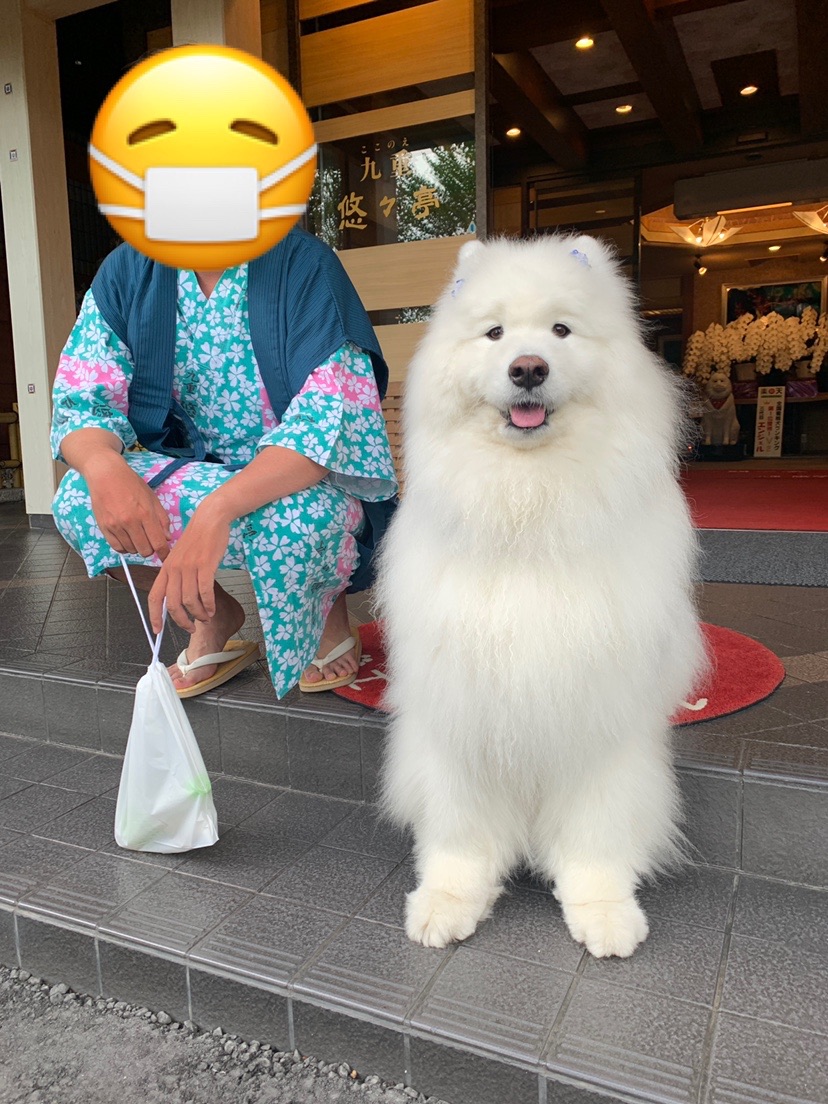 沓掛山 久住山 07 23 やまなすさんの九重山 久住山 大船山 星生山の活動日記 Yamap ヤマップ