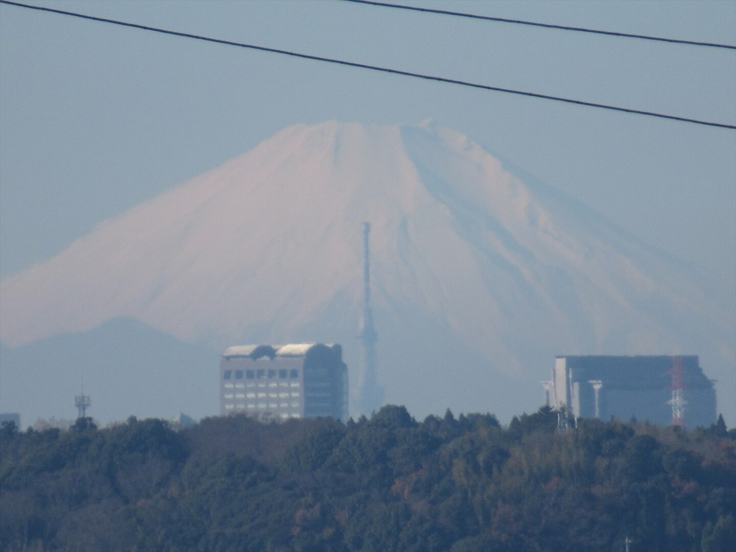 千葉県北部の栄町から富士山とスカイツリー... / なお。さんのモーメント | YAMAP / ヤマップ