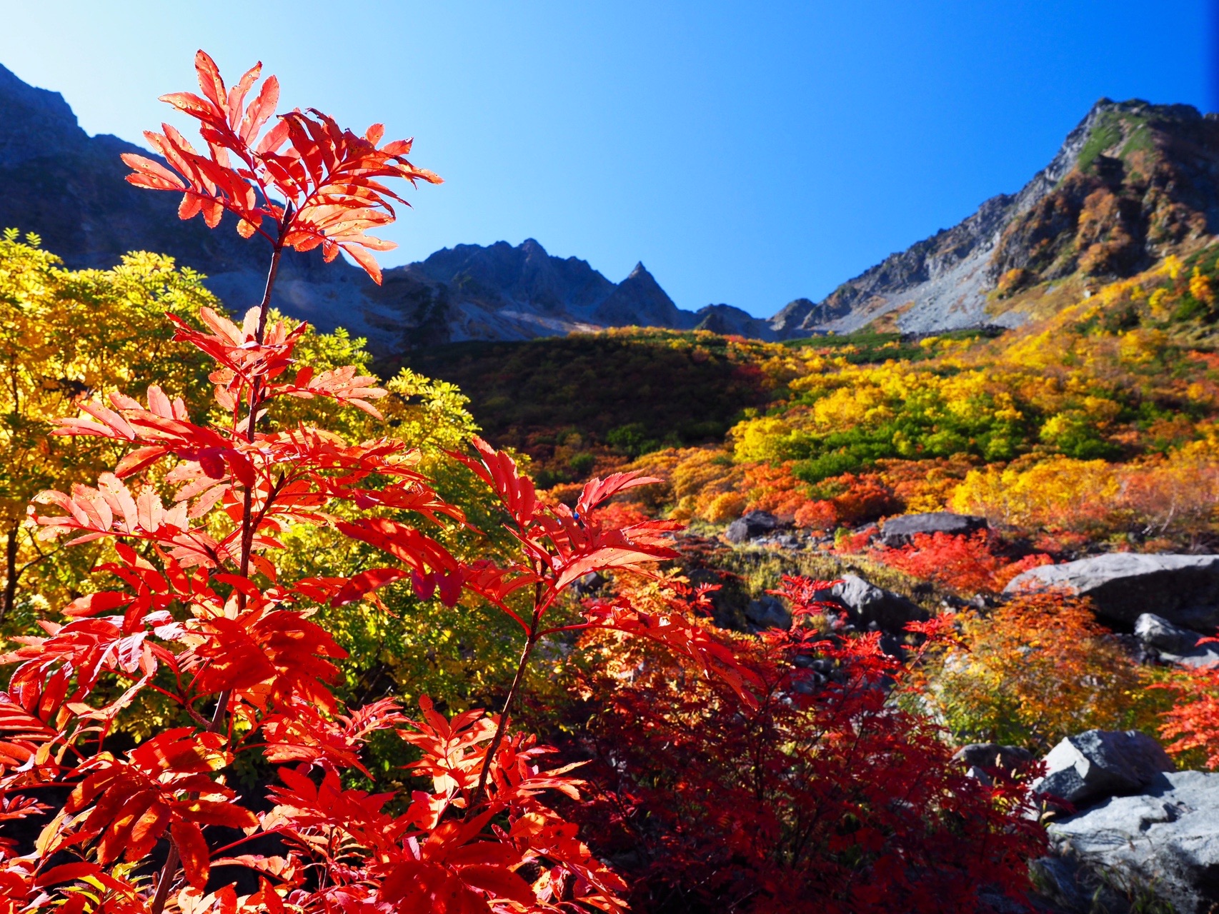 紅葉の涸沢カールで初テント泊 Laurierさんの槍ヶ岳 穂高岳 上高地の活動データ Yamap ヤマップ