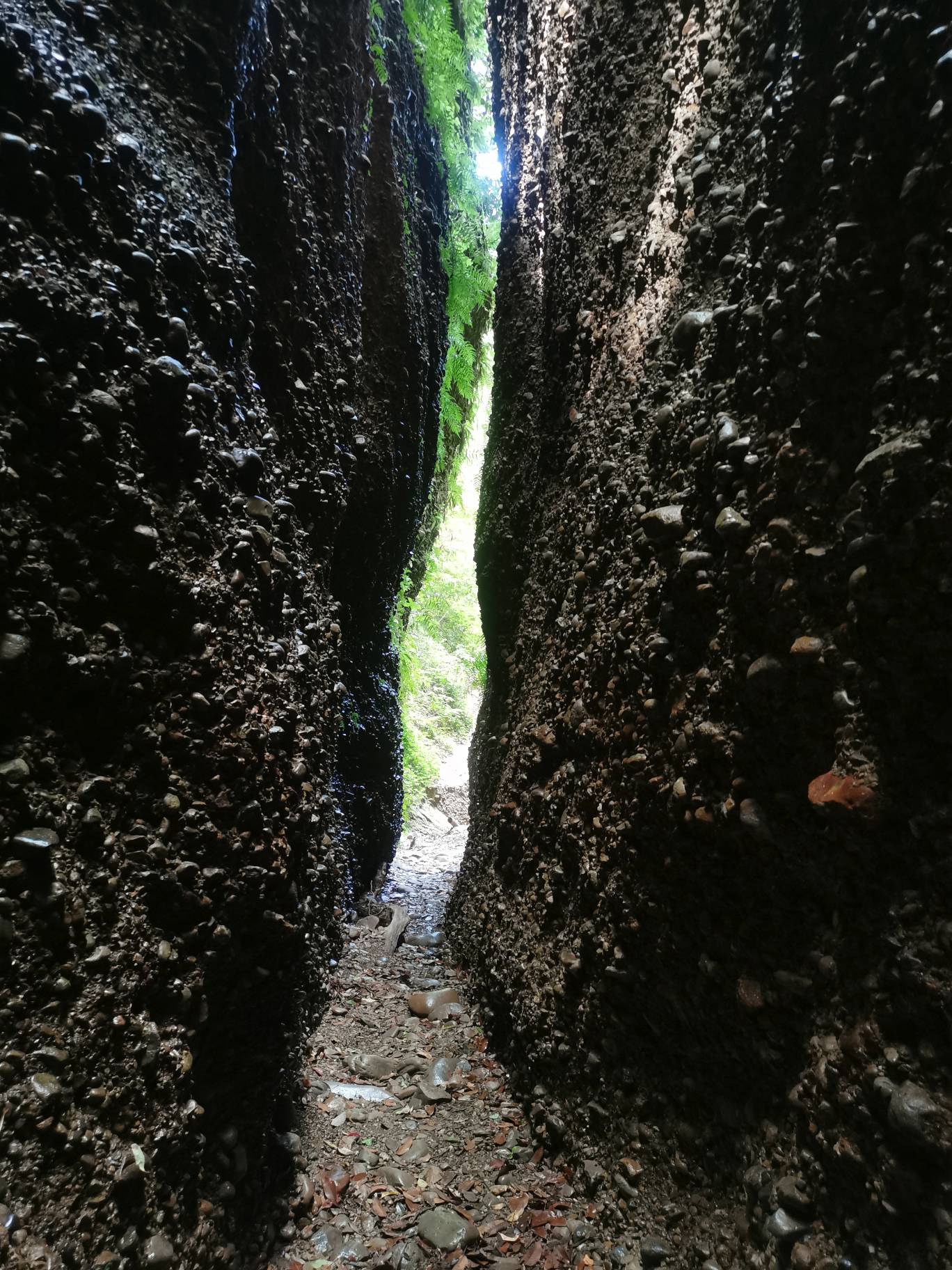 小笠山六枚屏風 たかしまるさんの小笠山の活動日記 Yamap ヤマップ