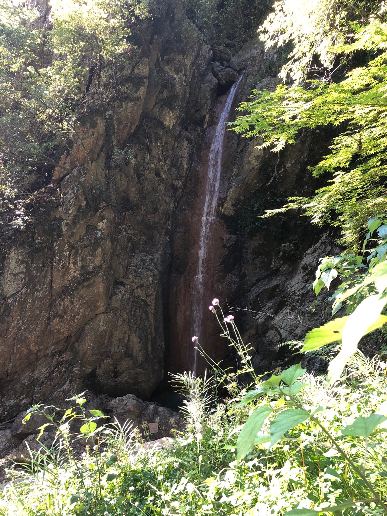 独鈷の滝 06 07 ごり子さんの五台山 親不知 城山 猪ノ口山 の活動データ Yamap ヤマップ