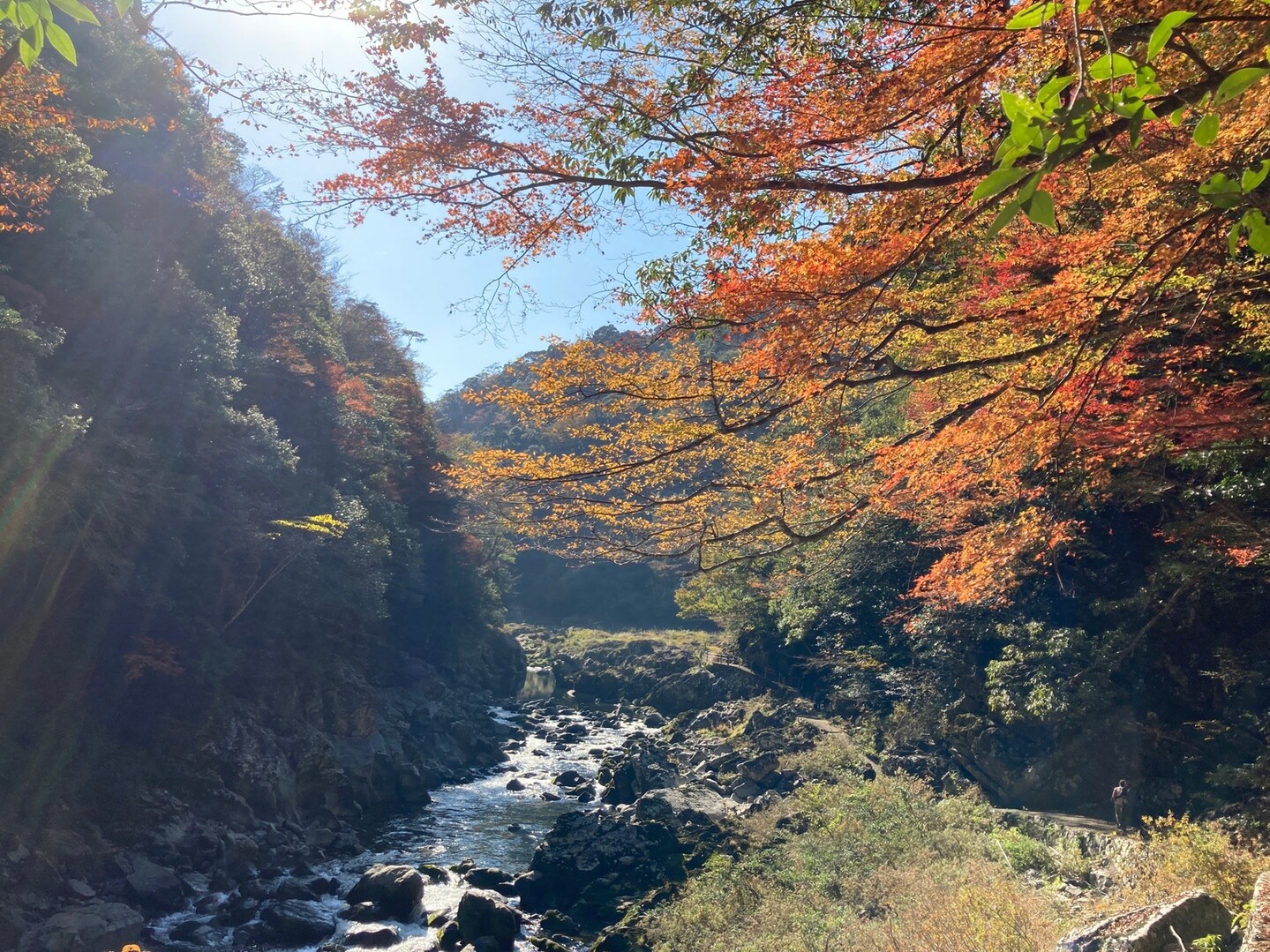 長門峡の紅葉with まつじゅんさんの萩往還その2 佐々並市 大内御堀 の活動日記 Yamap ヤマップ