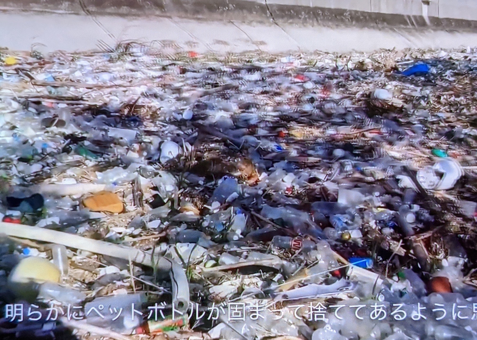 ２ ３ へ 38 川は流れてどこどこゆくの テッツーさんの広島市の活動日記 Yamap ヤマップ