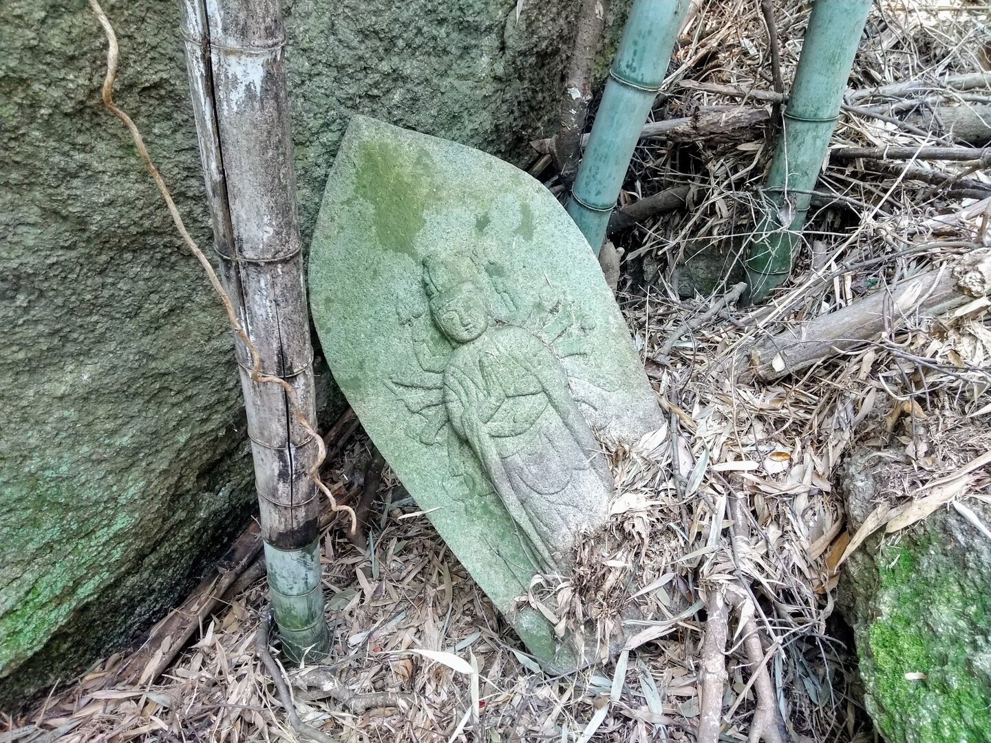 獅子窟寺エリアの探索とくろんど園地 / _toyoさんの交野山・国見山の活動データ YAMAP / ヤマップ