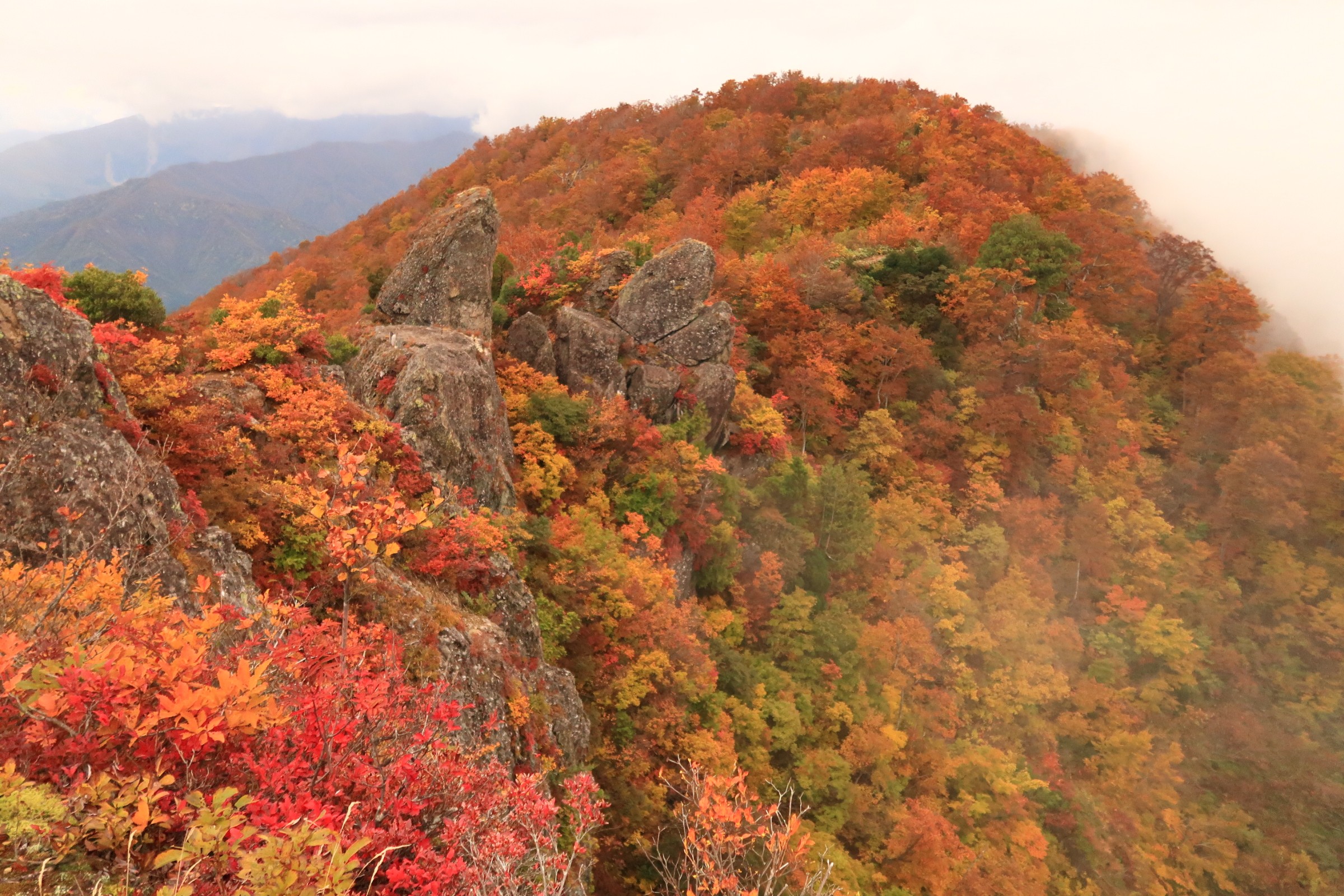 金城山（新潟県南魚沼市）の最新登山情報 / 人気の登山ルート