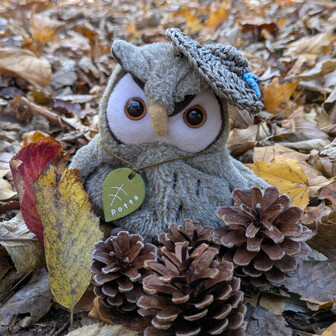 こんでええねん