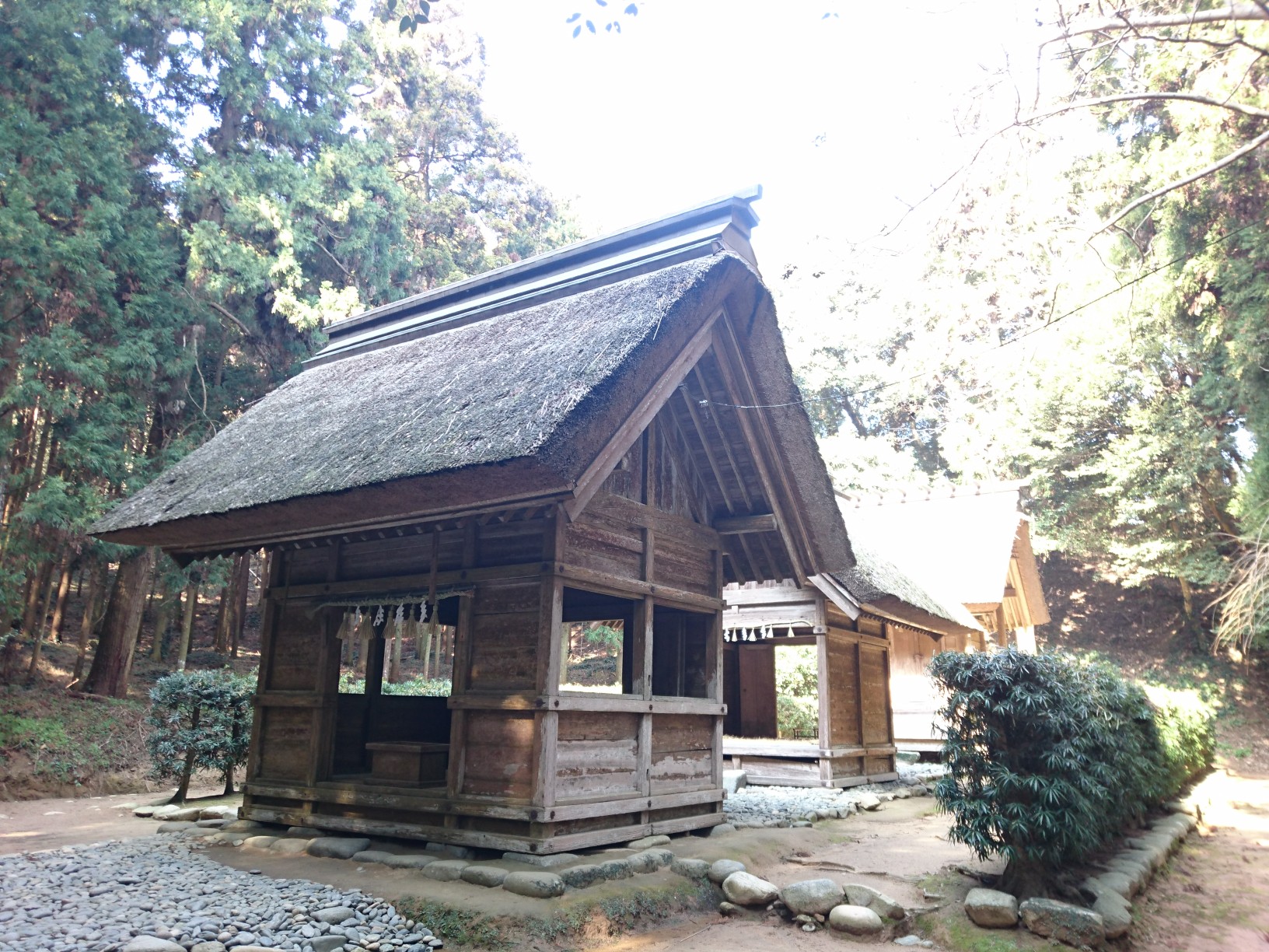 糸島 桜井神社の裏山 さくら花花さんの柑子岳 天ヶ岳の活動データ Yamap ヤマップ