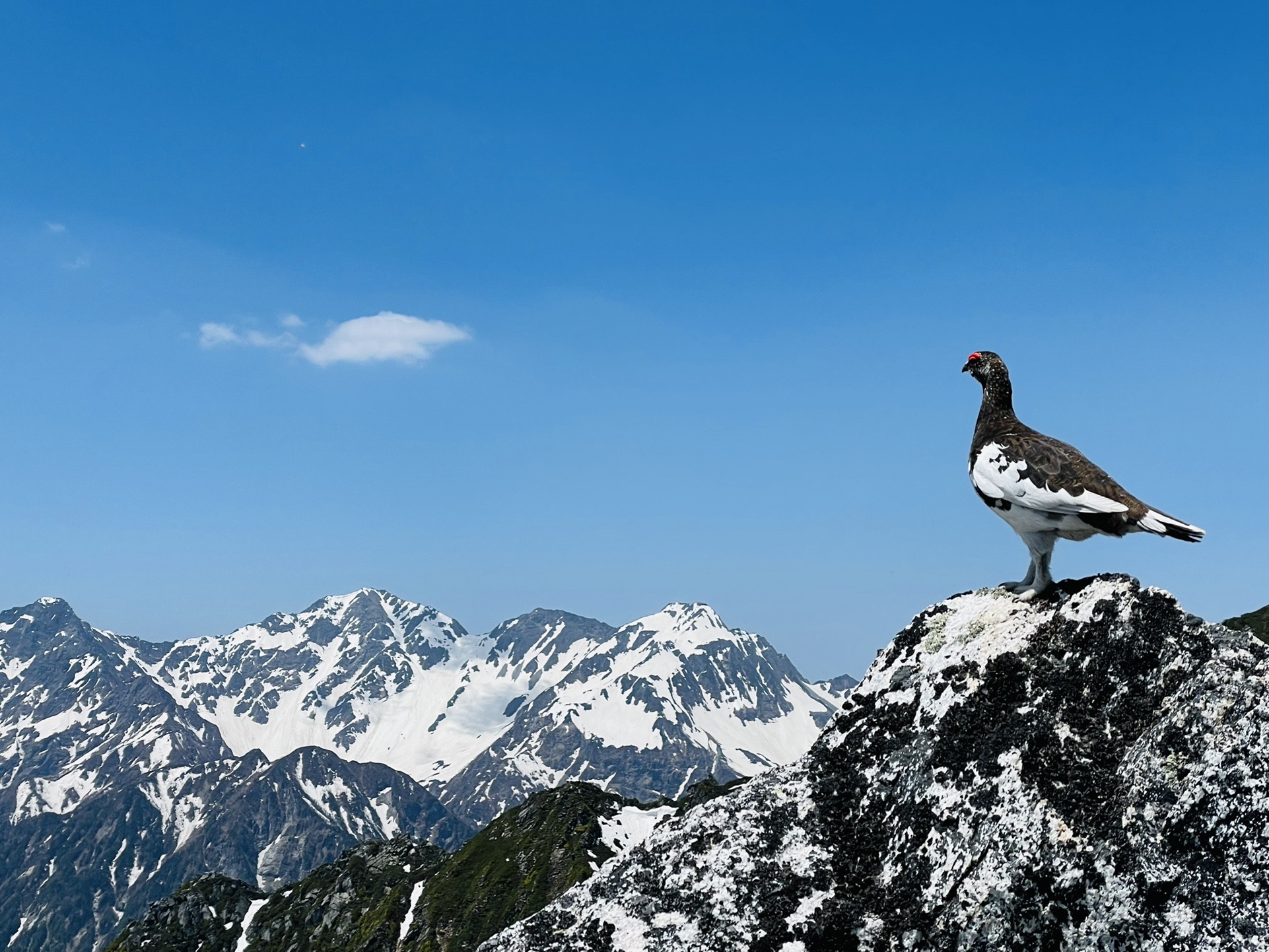 蝶ヶ岳 常念岳 まさとしさんの常念岳 大天井岳 燕岳の活動データ Yamap ヤマップ