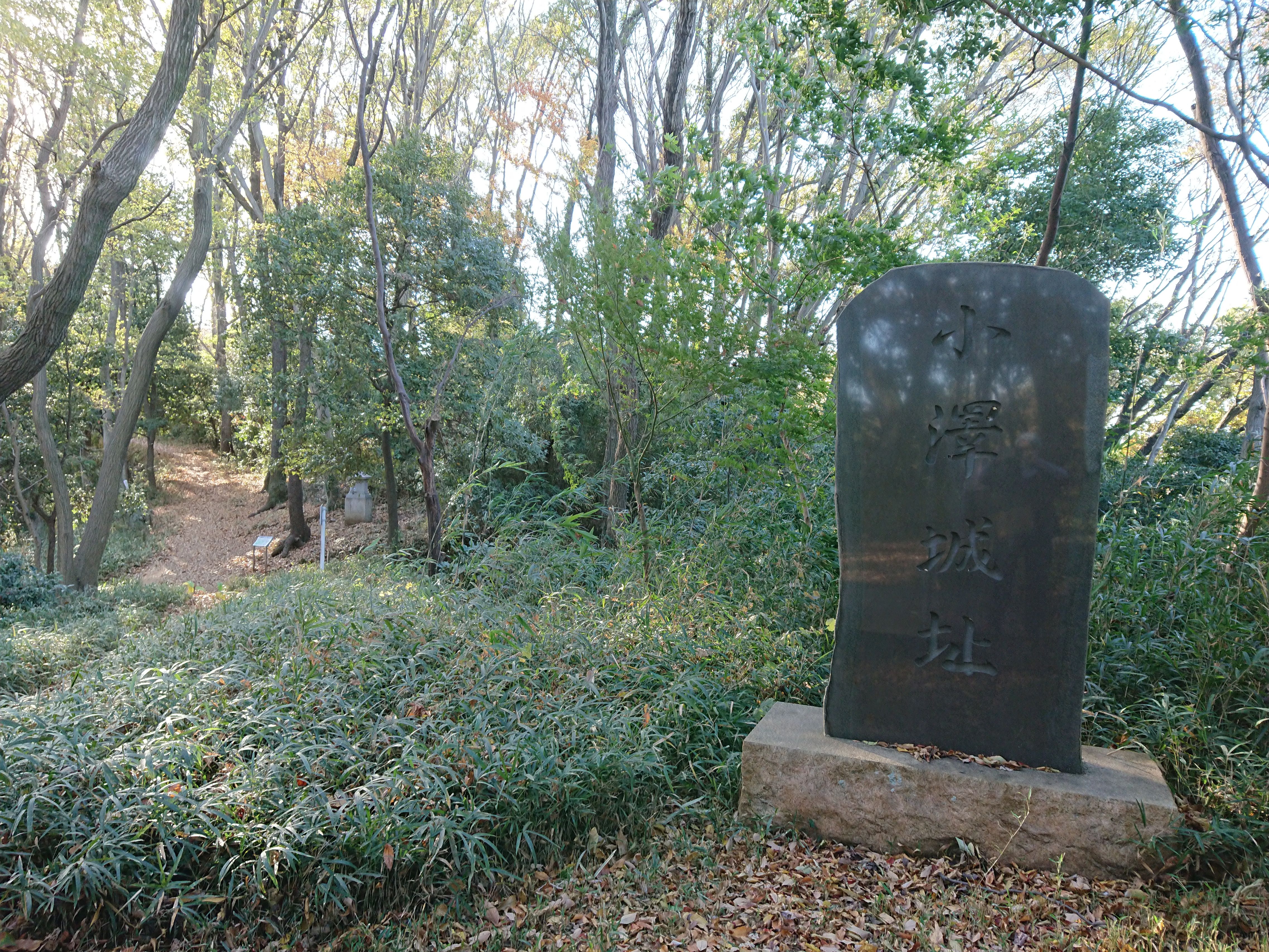 浅間山 小沢峰 ありがた山 ぶんたさんの北多摩の活動データ Yamap ヤマップ