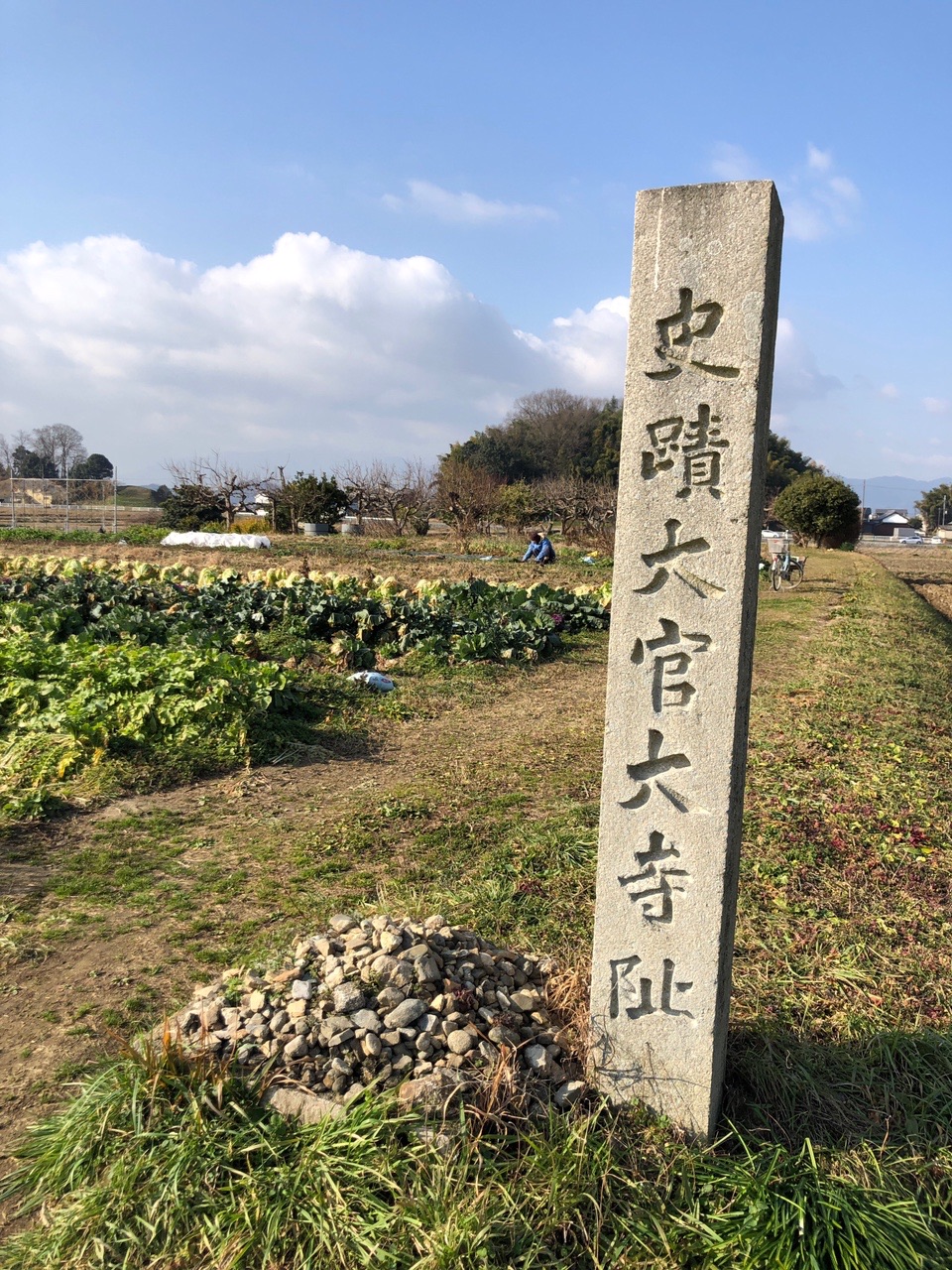 高取山 大官大寺跡  畑になっています。