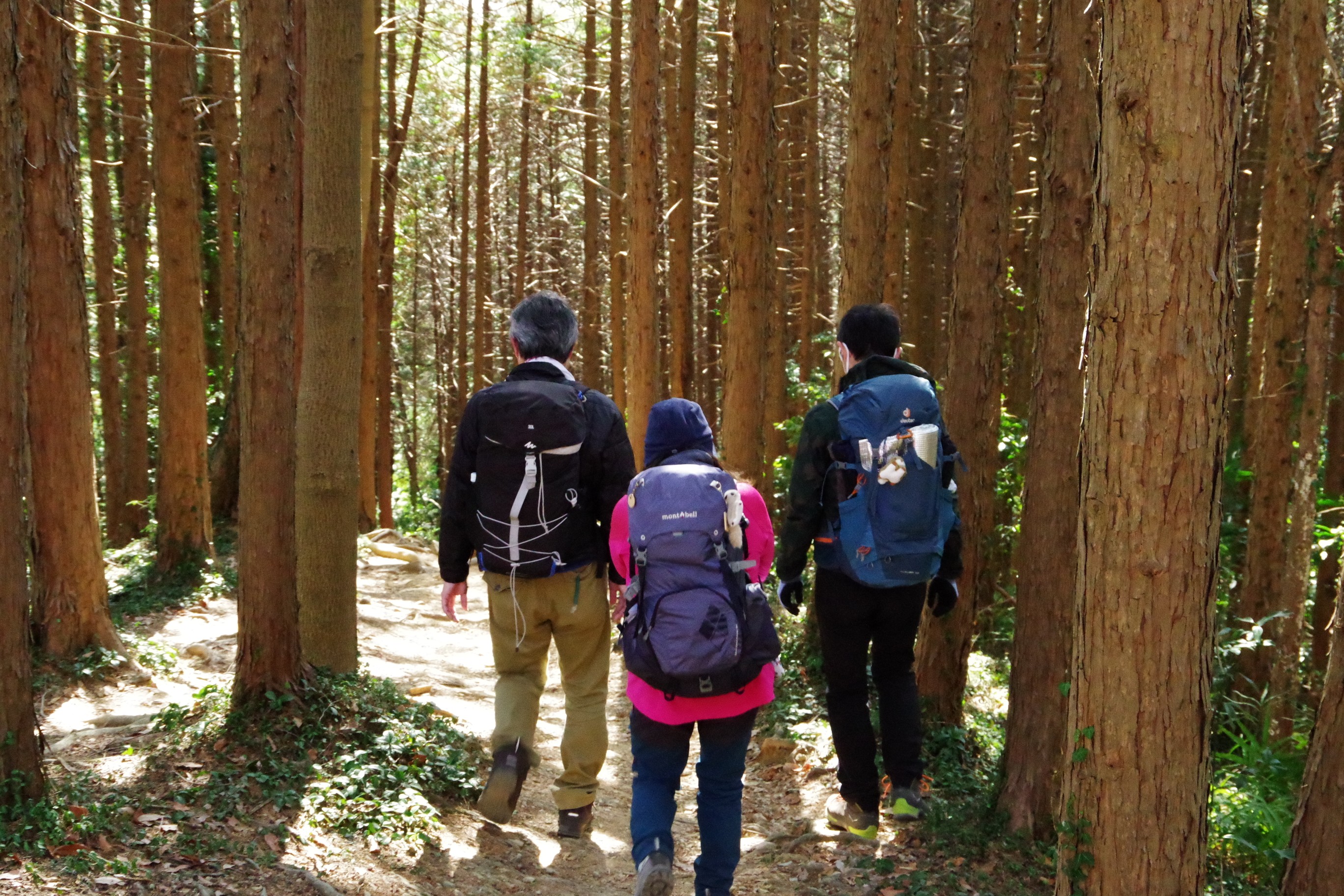 物見山 巾着田デイキャンプオフ会21 02 25 くさっちさんの日和田山 物見山の活動データ Yamap ヤマップ