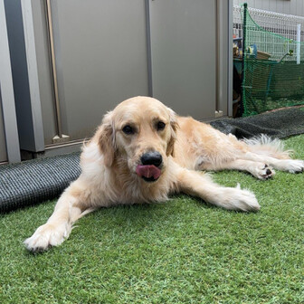 ユーザーやまとくん