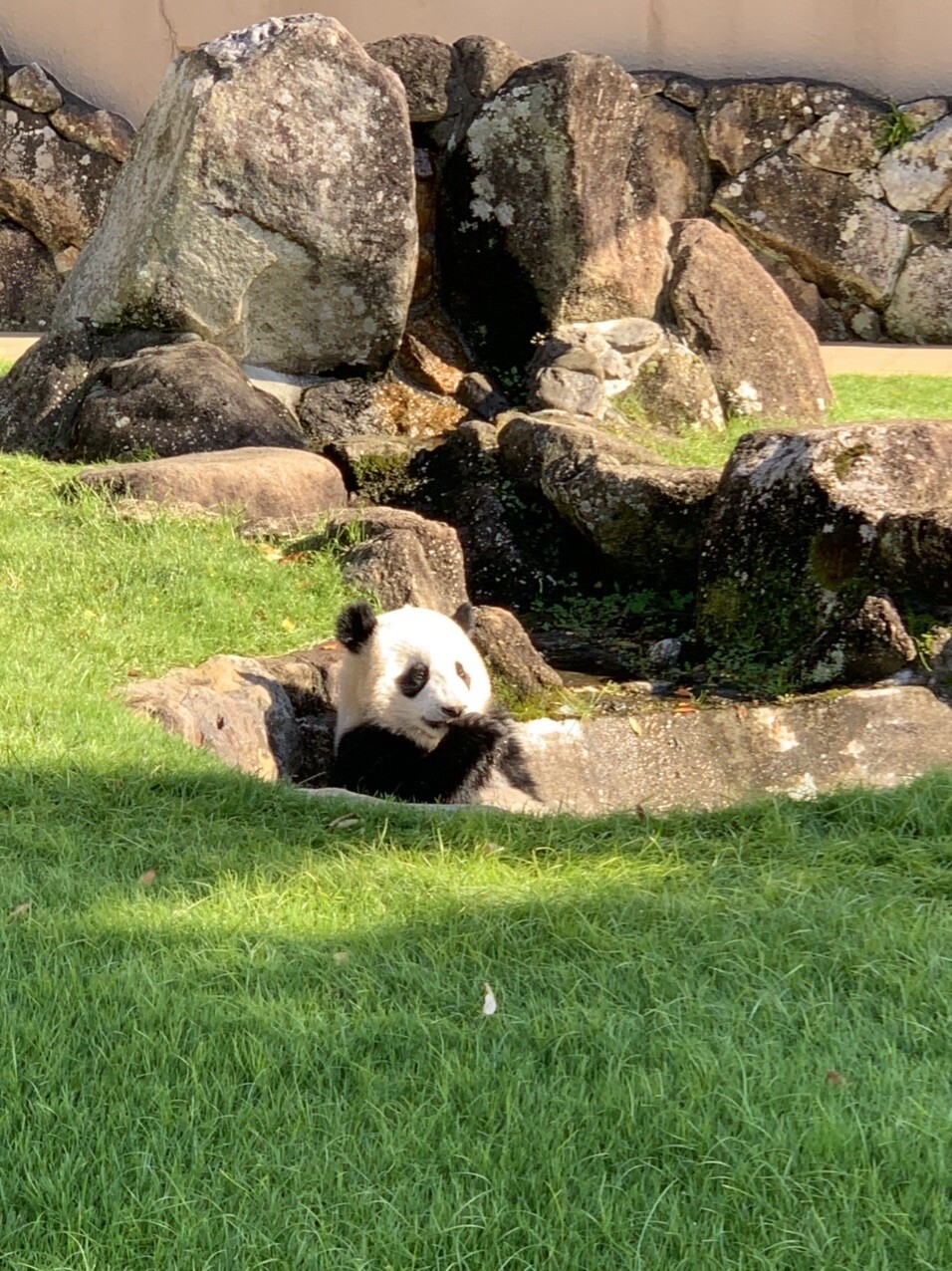 パンダを観に 何年ぶりかの アドベンチ Erlk0 さんのモーメント Yamap ヤマップ