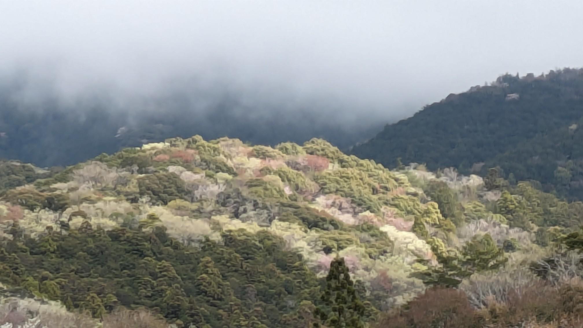 霧山（静岡県）の最新登山情報 / 人気の登山ルート、写真、天気など  