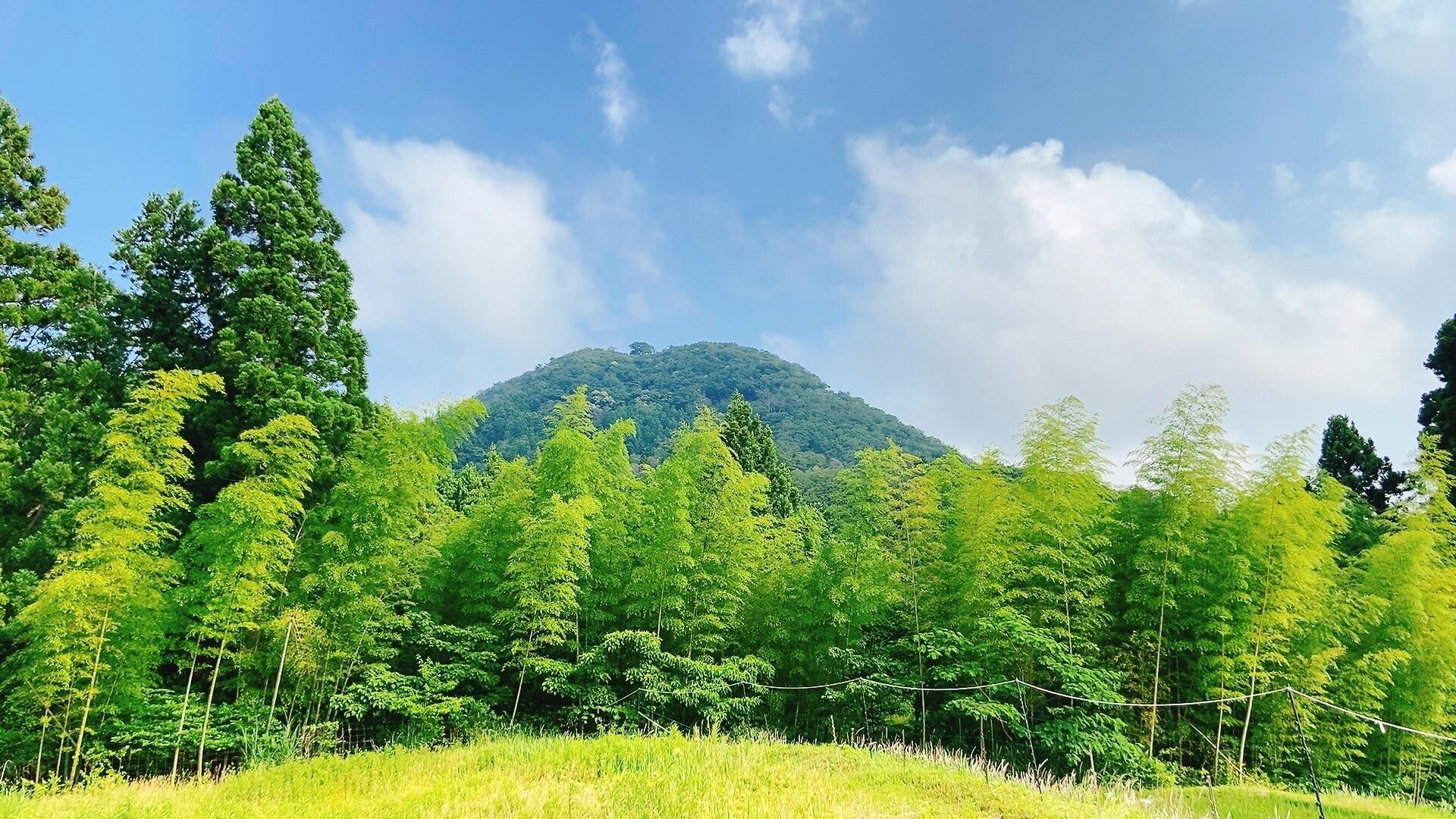 高須山 / リップル松本さんの高須山の活動データ YAMAP / ヤマップ