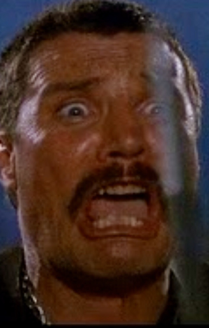 黑柴クロと竜王山 クロさんの竜王山 鋤尖山 鬼ヶ城の活動日記 Yamap ヤマップ