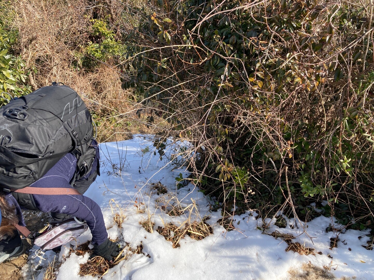 伊予ヶ岳 房総のマッターホルン 伊予ヶ岳 人骨山 津森山の写真22枚目 北峰から北側へ下山 雪はまだしも 土がド Yamap ヤマップ