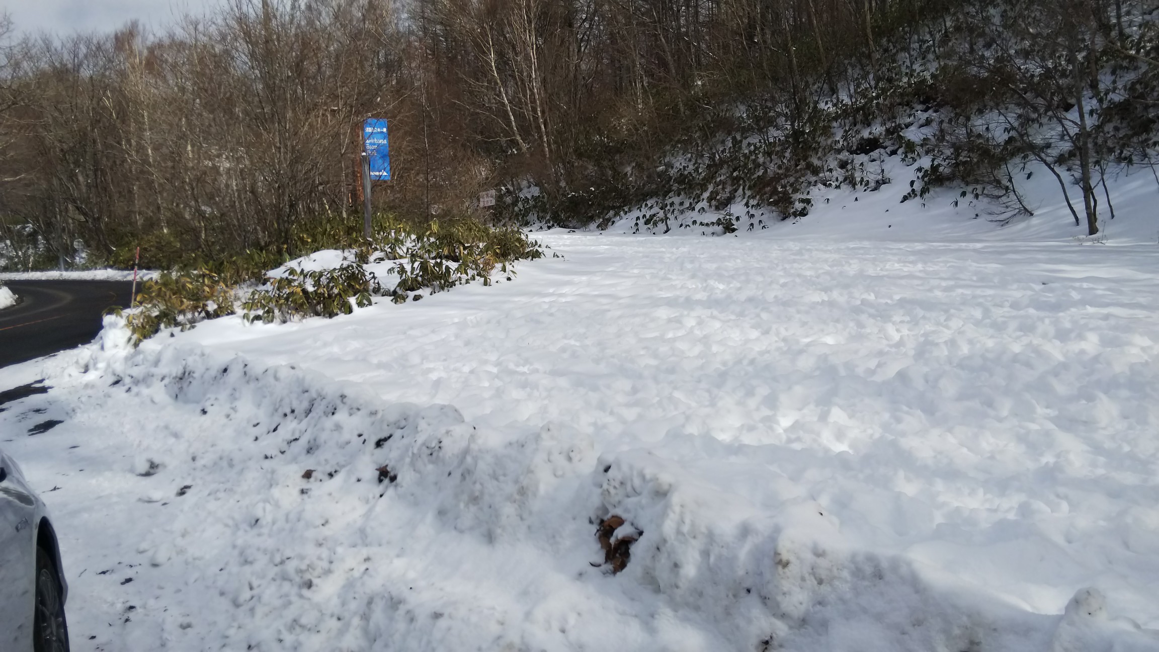 駐車場所に戻りました