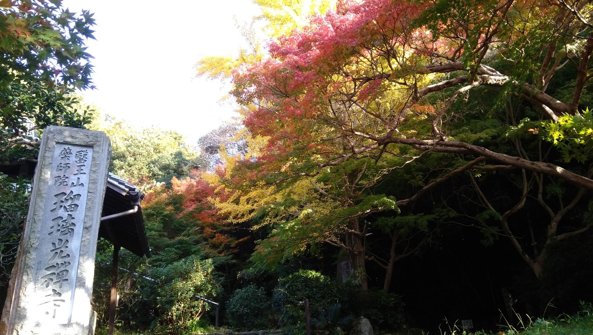 柏原市『瑠璃光禅寺』の紅葉 / ただポン90さんの生駒山・神津嶽・大原山の活動データ YAMAP / ヤマップ