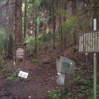 ここらスタート