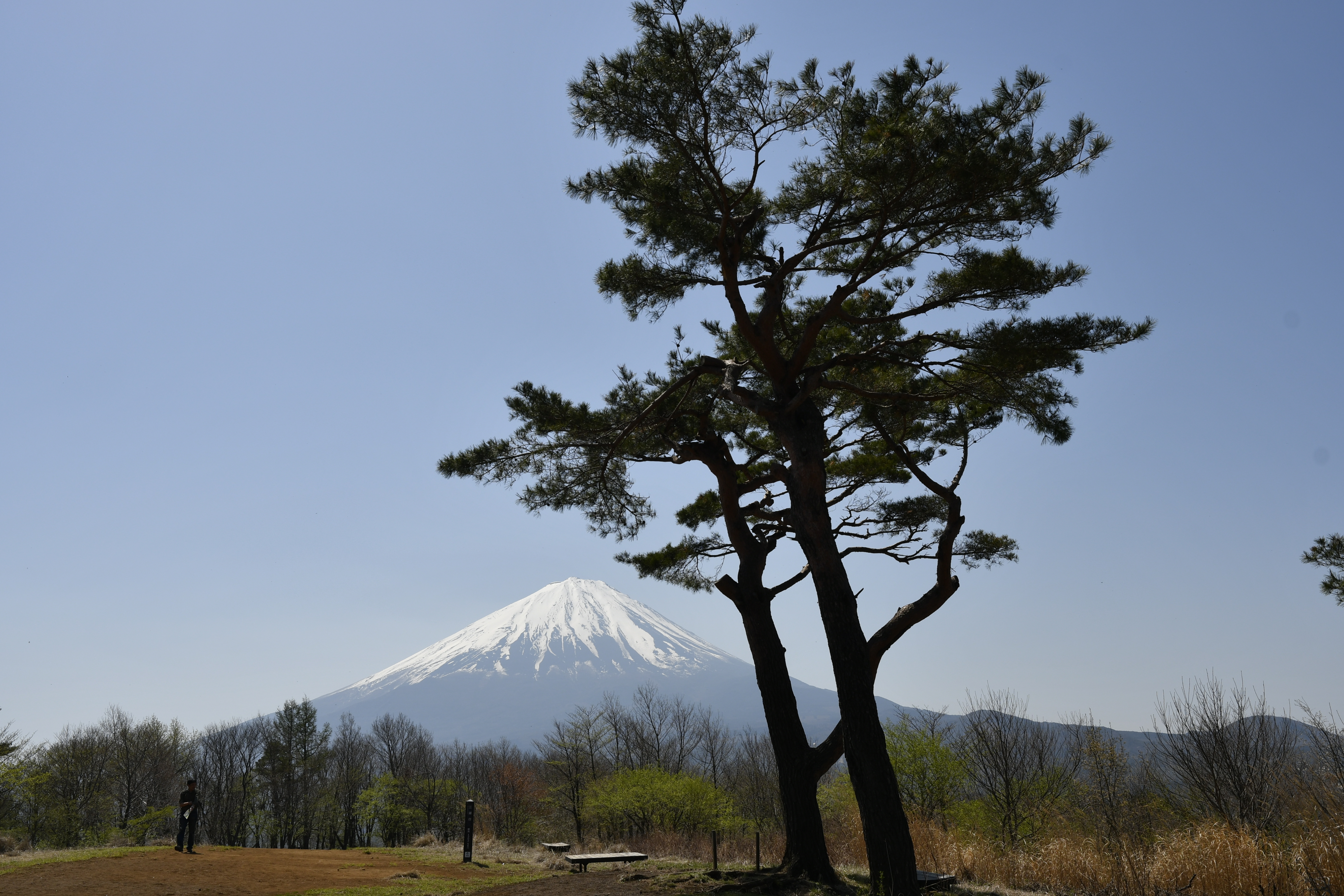 三湖台と青木ヶ原樹海 18 4 D40さんの節刀ヶ岳 破風山 足和田山の活動日記 Yamap ヤマップ
