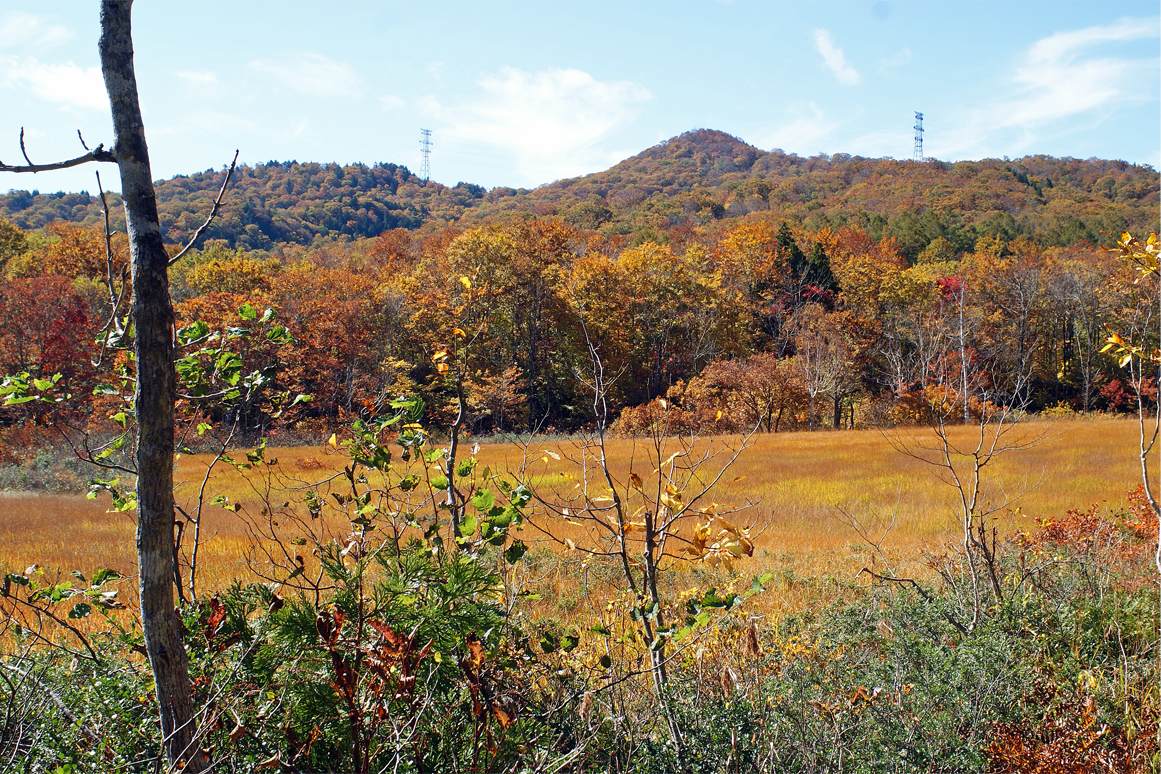紅葉見頃の玉原湿原 19 10 23 岩魚230さんの武尊山 鹿俣山 尼ヶ禿山の活動データ Yamap ヤマップ