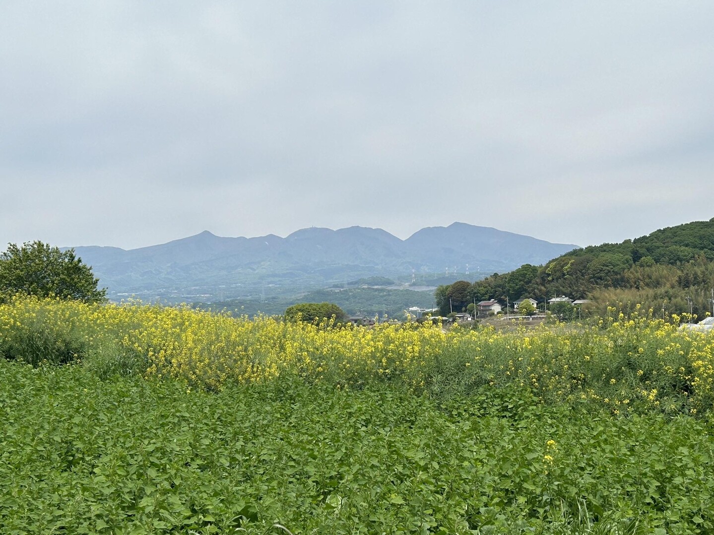息子とのんびり♪鹿田フットパスで山遊び / コトヒナさんの鹿田山の活動データ YAMAP / ヤマップ