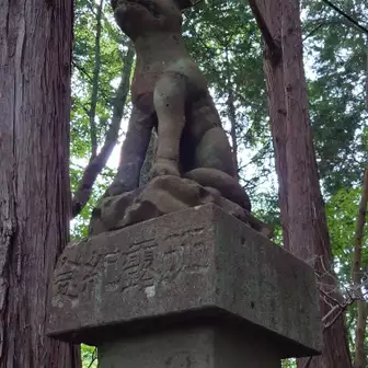 釜山神社の狛狼