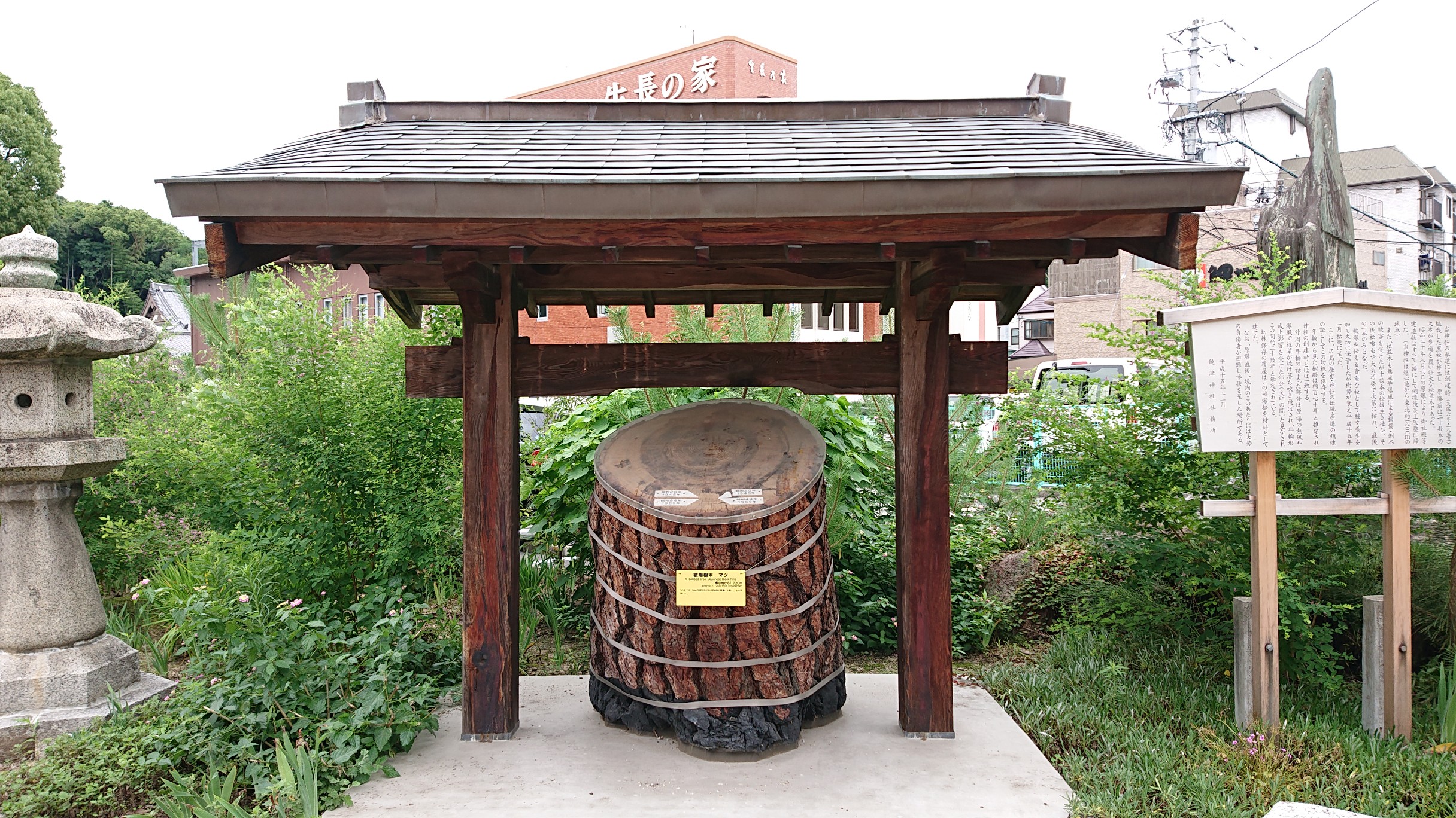 二葉山 尾長山 牛田山 見立山 春彦さんの牛田山 尾長山 二葉山の活動データ Yamap ヤマップ