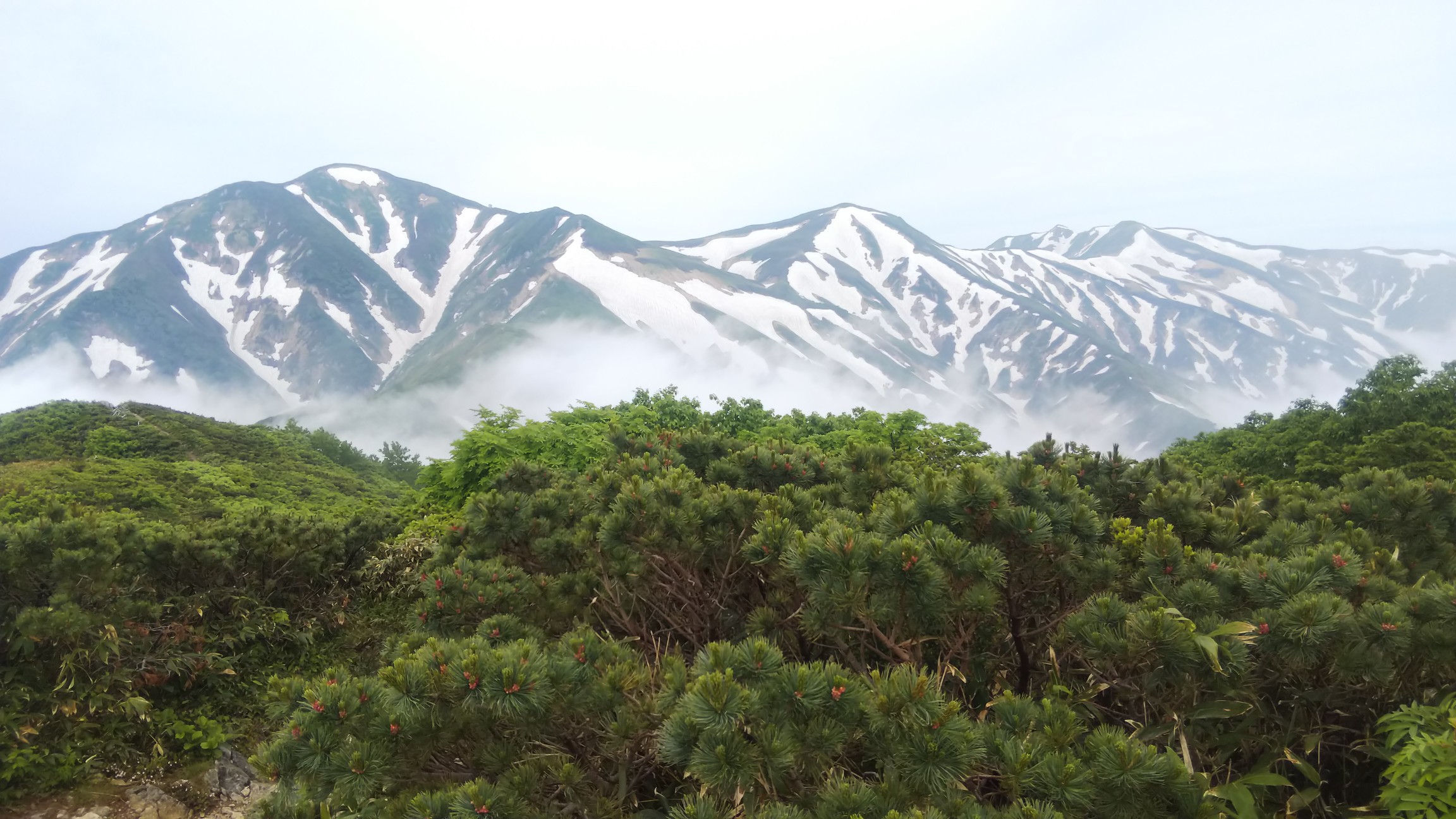 朝日連峰 大朝日岳 小朝日岳 古寺山 古寺鉱泉ピストンルート 東北遠征最終日 Shimoさんの大朝日岳 朝日連峰 祝瓶山の活動日記 Yamap ヤマップ