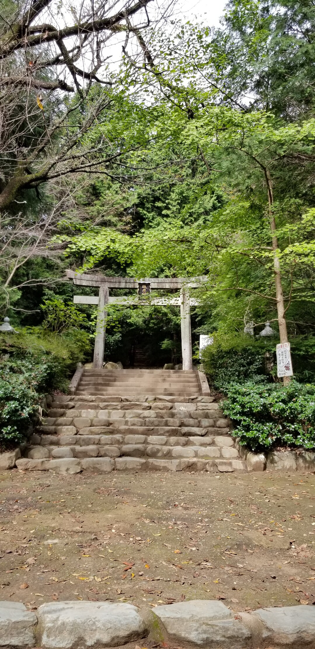 2020本宮山(16回目) / せんたー分けさんの本宮山・大日山・風頭山の活動データ YAMAP / ヤマップ