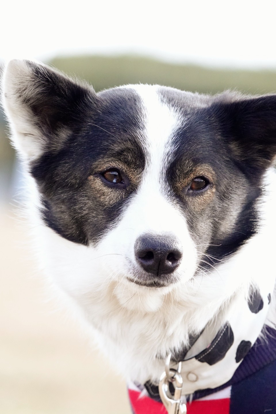 Go To キャンペーン もみじ パパ さんのモーメント Yamap ヤマップ