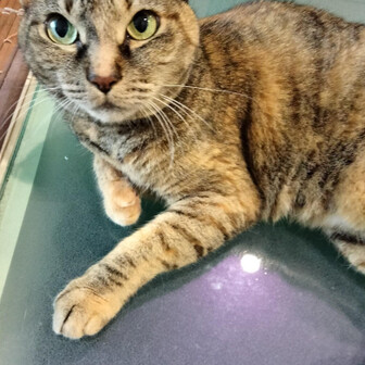 すみれちゃん（さんは不要😃）