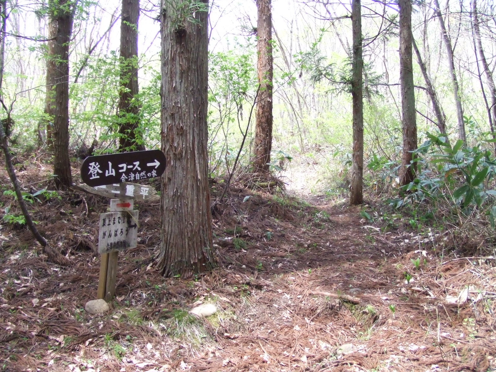 福島県会津坂下町 高寺山 / ぽんすけぽんさんの西会津町の活動日記 