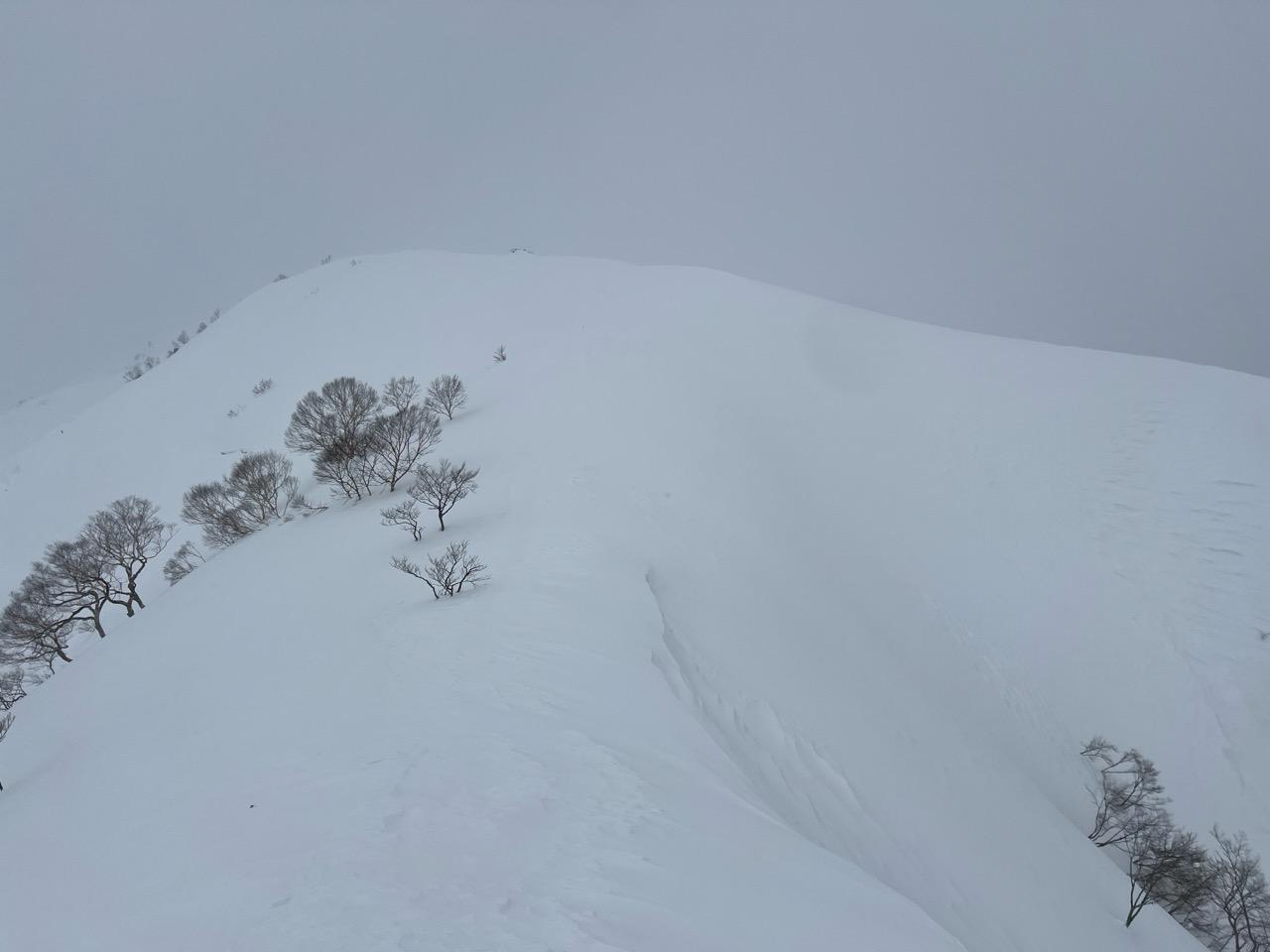 谷川岳・七ツ小屋山・大源太山 トレースあれば大した事ないが、コレはキツいよ
