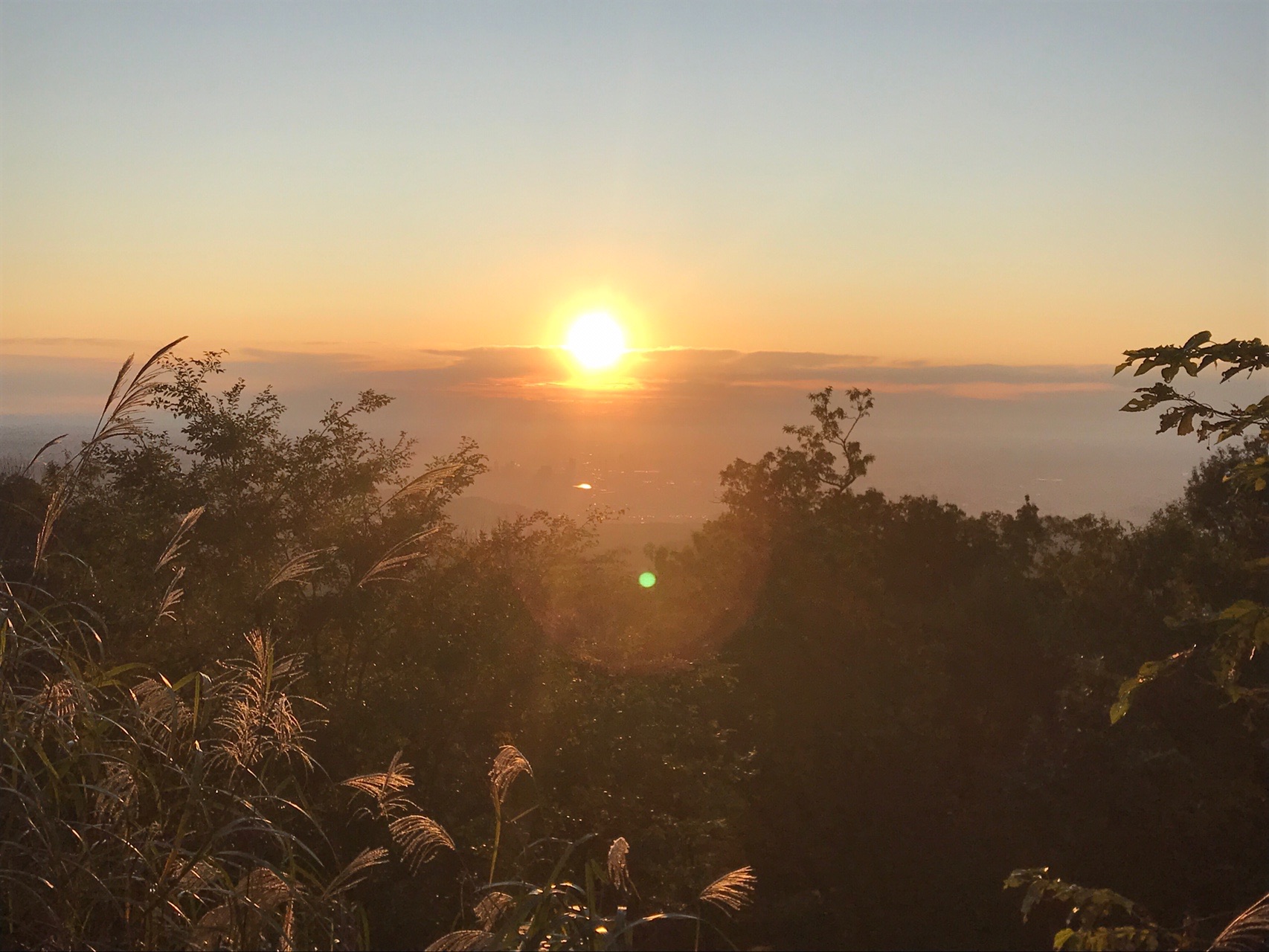 高尾山 日の出を見に 19 11 10 でこりんさんの高尾山 陣馬山 景信山の活動データ Yamap ヤマップ